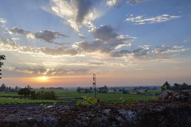The Best Of Saint-Emilion : City Highlights walking tour - Hidden Gems and Local Specialties