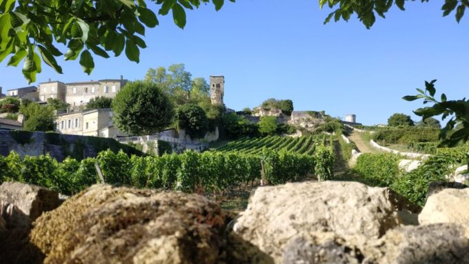 The Best Of Saint Emilion (Private Highlights Tour) - Customer Feedback