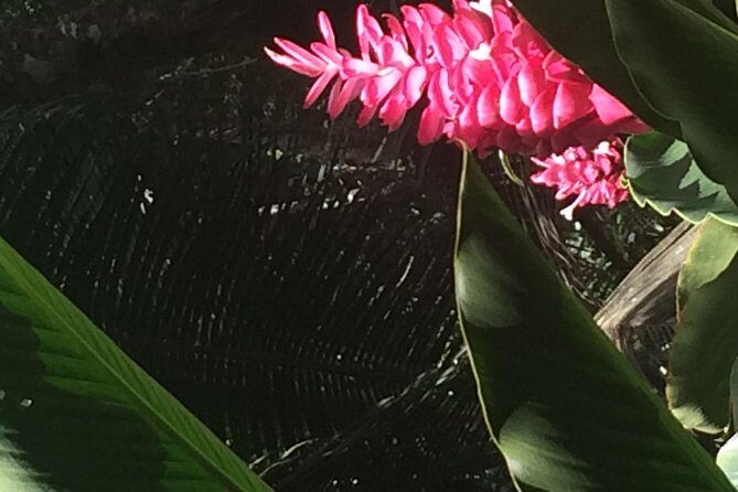 The Best of Saint Lucia Tour - FAQ