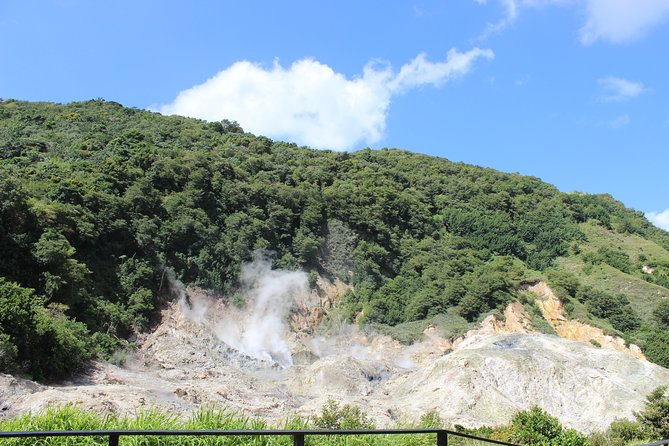 The Best of Saint Lucia Tour - Inclusions and Logistics