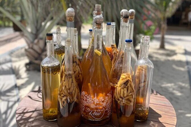 The Best of St Maarten Private Sightseeing Tour - Who Should Book This Tour?