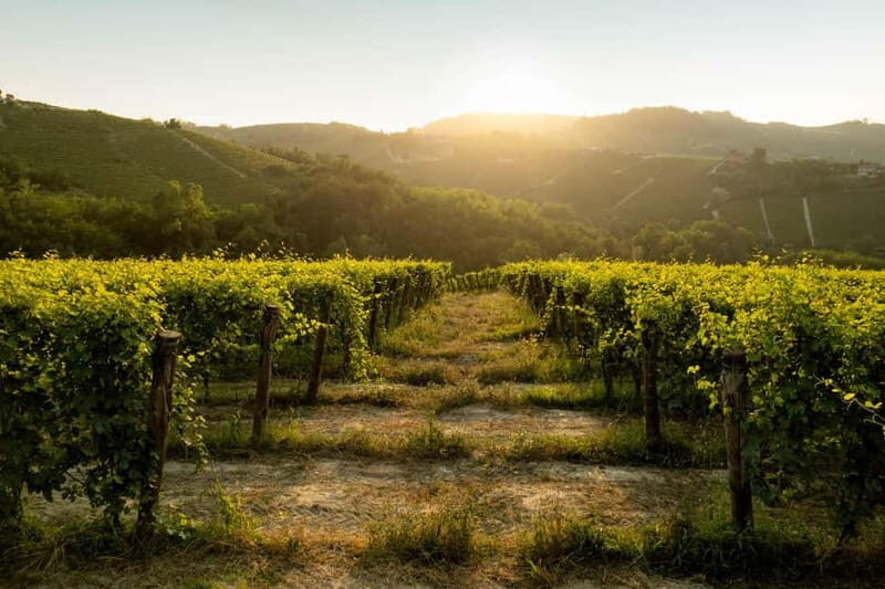 The Best of the Langhe: Wine Tasting & Traditional Meal - Final Thoughts