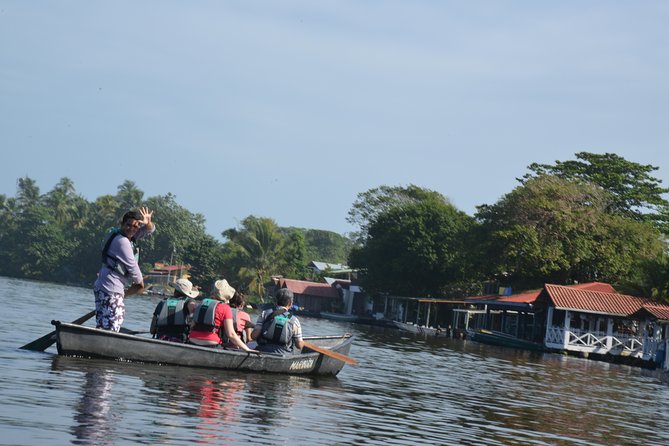 The Best of Tortuguero: Canoe, Hike and Night Tour (Turtle in Jul-Oct) - Hiking Through Nature Trails