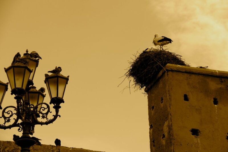 The Best Private Souks Guide In Marrakech - Shopping Experience