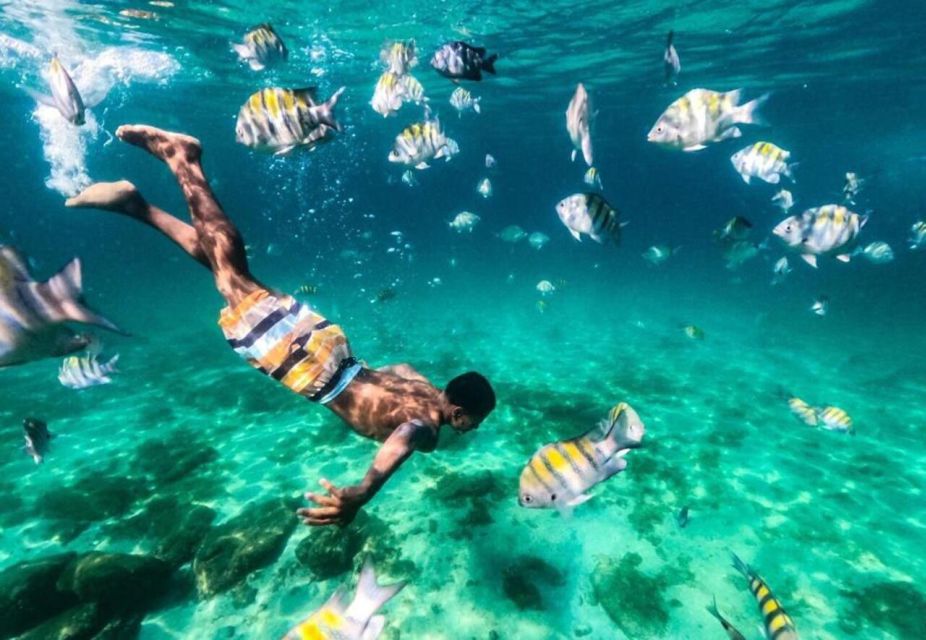 The BEST Rio De Janeiro Tours and Things to Do - Key Points