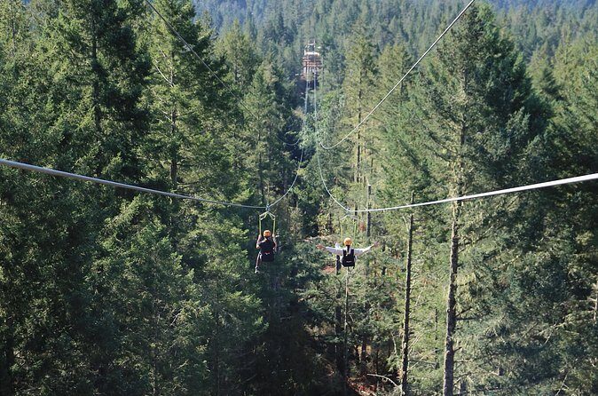 The Big Zip Experience - FAQ