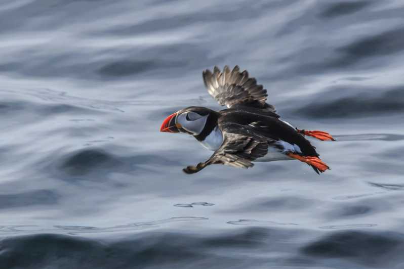 The Bird Safari Tour - Experience Highlights