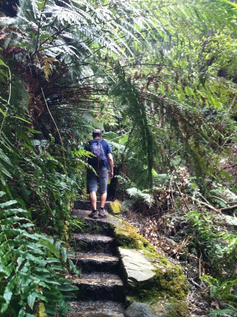 The Blue Mountains Small Group Insider Tour - Not Suitable for