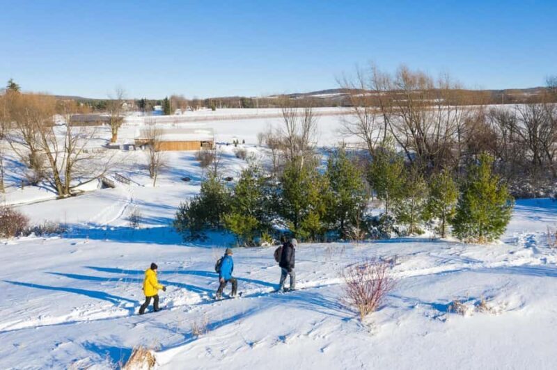 The Blue Mountains: Snowshoe Hike & Wine Tasting Tour - The Wine Tasting: Savoring Ontario’s Local Flavors