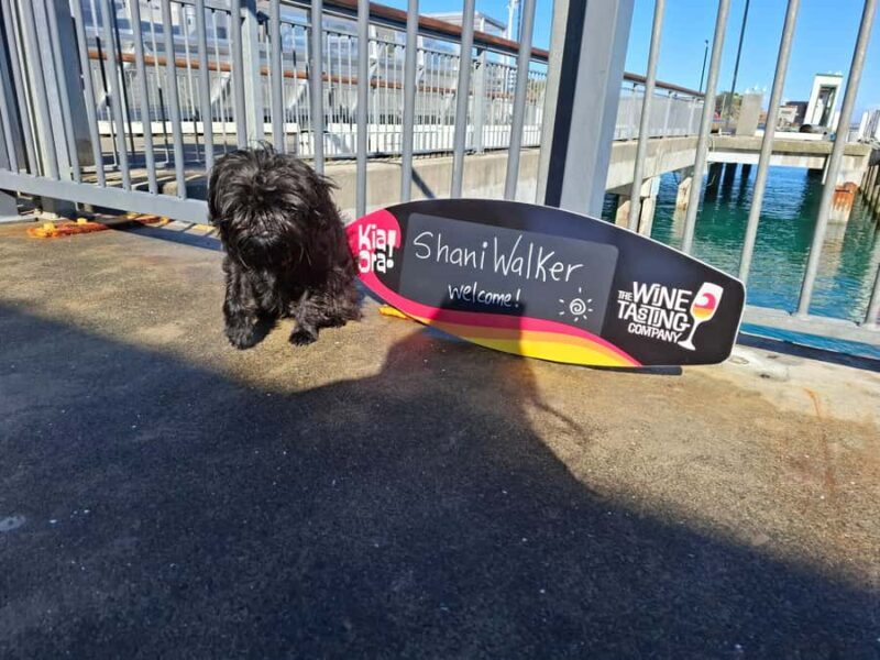 The Boutique Experience: Waiheke Island Best Cellar Tour - Why This Waiheke Wine Tour Stands Out