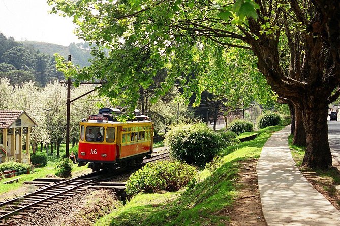 The Brazilian Switzerland - Day Trip to Campos Do Jordão From São Paulo - Group Size and Personalization