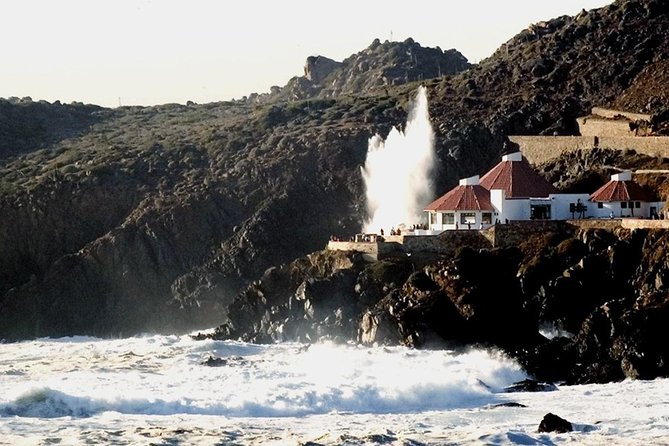 The Bufadora Tour in Baja California - Pickup and Transportation