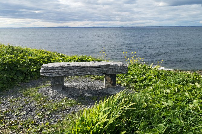 The Burren and Cliffs of Moher Full Day Private Tour From Galway - Meeting and Pickup