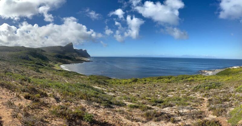 The Cape Peninsula: A Day of Coastal Elegance - Good To Know