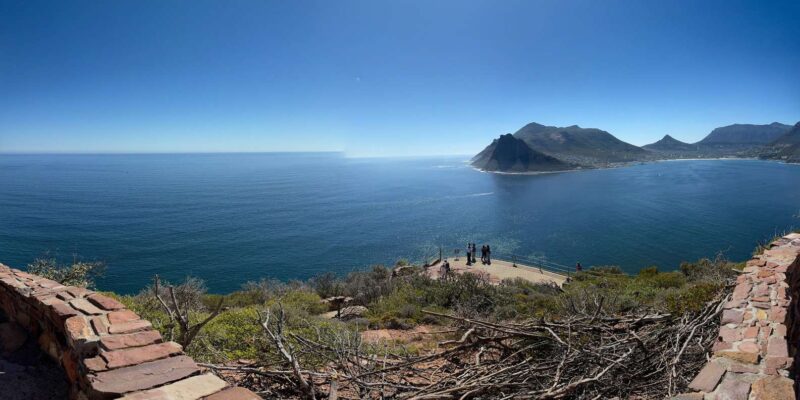 The Cape Peninsula: A Day of Coastal Elegance - Discovering Hout Bays Wildlife Wonders