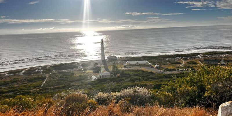 The Cape Peninsula: A Day of Coastal Elegance - Marveling at Chapmans Peak Drive