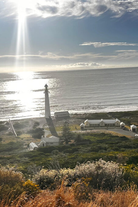 The Cape Peninsula: A Day of Coastal Elegance - Frequently Asked Questions