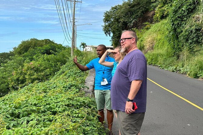 The Cascading Dark View Falls and Beach Experience with Topdawg Taxi and Tours - FAQ