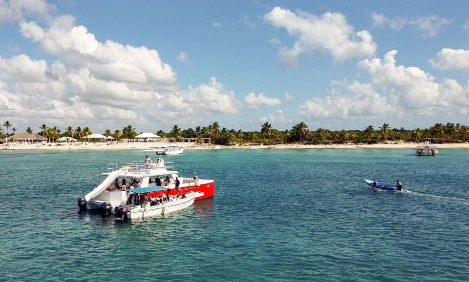 The Catalina Island Experience - Catamaran Transportation to the Island