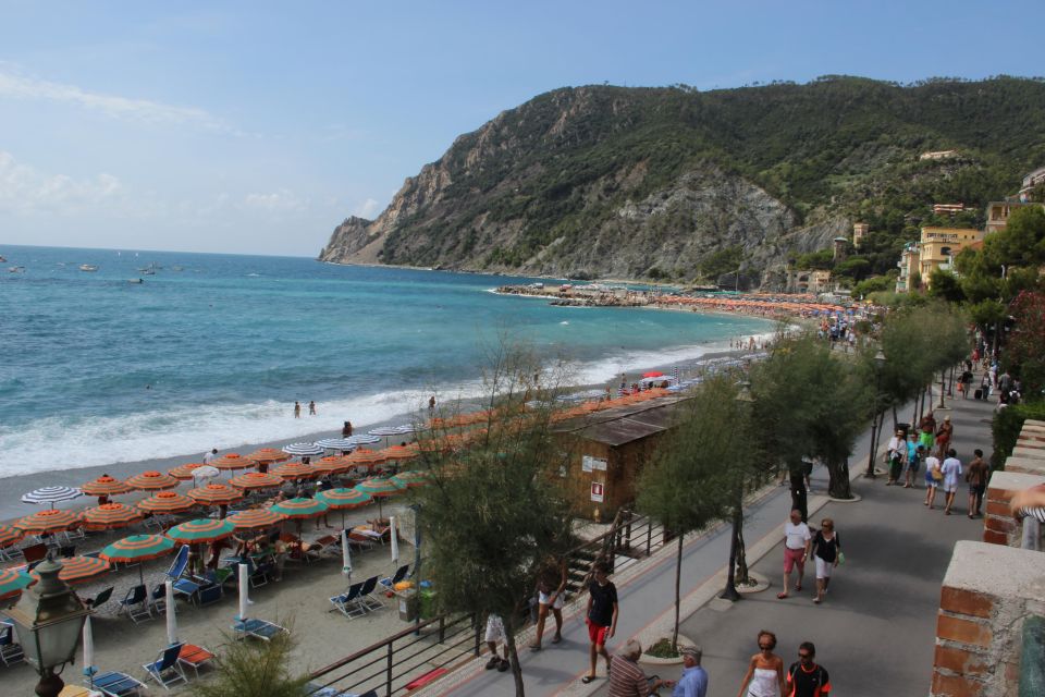 The Charm of Cinque Terre: Tour by Minivan From Florence - Description