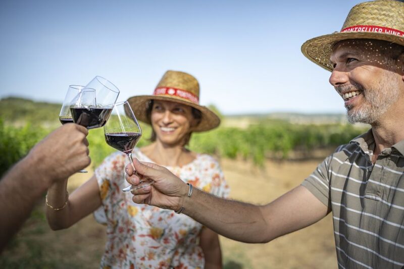 The Châteaux of Grès De Montpellier & Wine Tasting - Transportation and Meeting Details