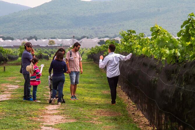 The Cheese and Wine Route - Final Thoughts: Who Will Love This Tour?