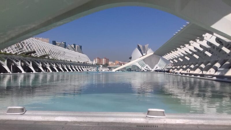 The City of Arts and Sciences in Valencia - What Travelers Say