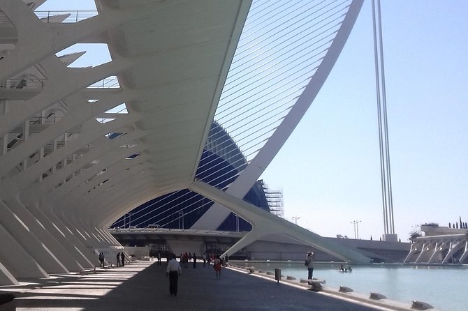 The City of Arts and Sciences in Valencia - Key Attractions