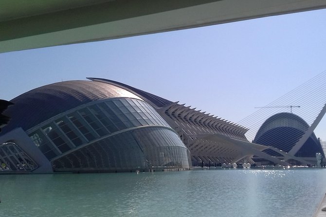 The City of Arts and Sciences in Valencia - Visitor Reviews and Feedback