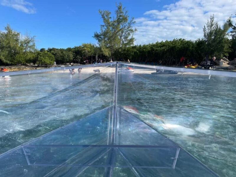 The Clear Boat Experience Bahamas drinks and snacks included - The Sum Up: Who Is This Tour Best For?