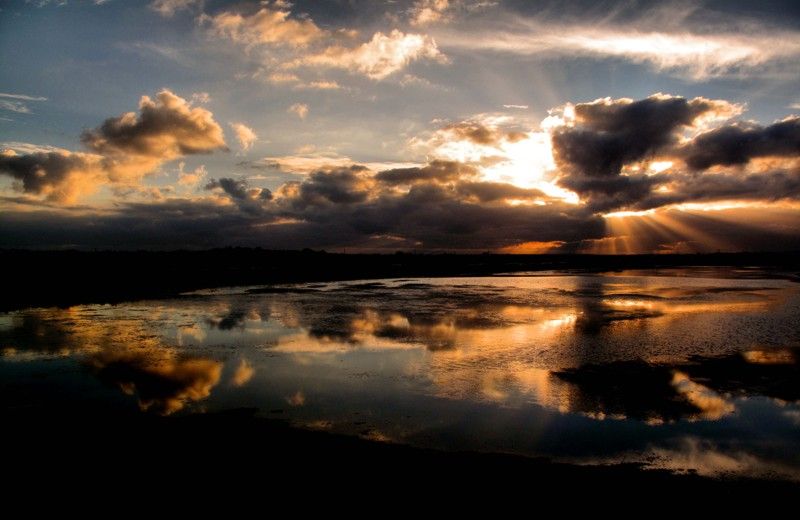 The Colors of Ria Formosa: Sunset Boat Trip in Faro - Sparkling Wine and Sunset