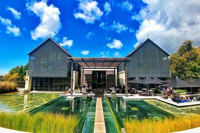 The Constantia Wineland - Visiting Steenberg Vineyards