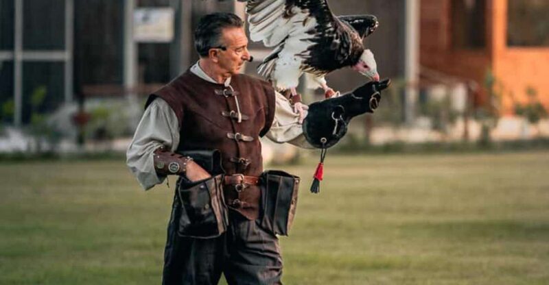 The Court of the Falconer Masseria Mazzetta - Key Points