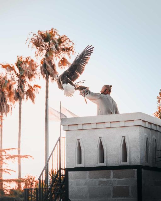The Court of the Falconer Masseria Mazzetta - Live Demonstrations and Performances