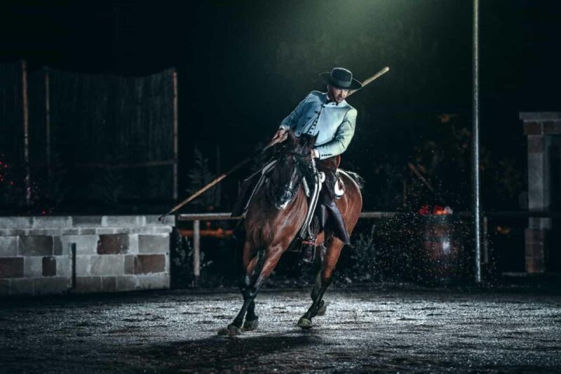 The Court of the Falconer Masseria Mazzetta - Customer Feedback and Experiences