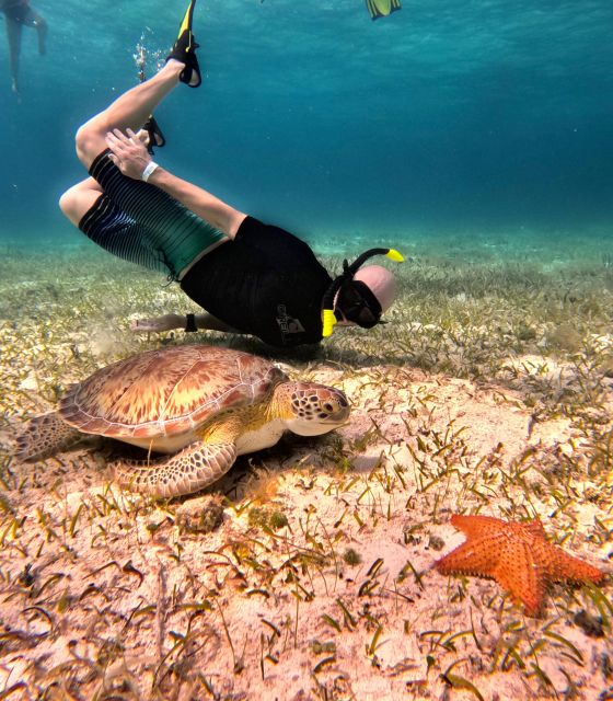 The Cozumel Turtle Sanctuary Snorkel Tour - Snorkeling Equipment Provided