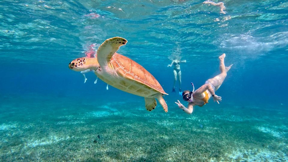 The Cozumel Turtle Sanctuary Snorkel Tour - Refreshments and Snacks