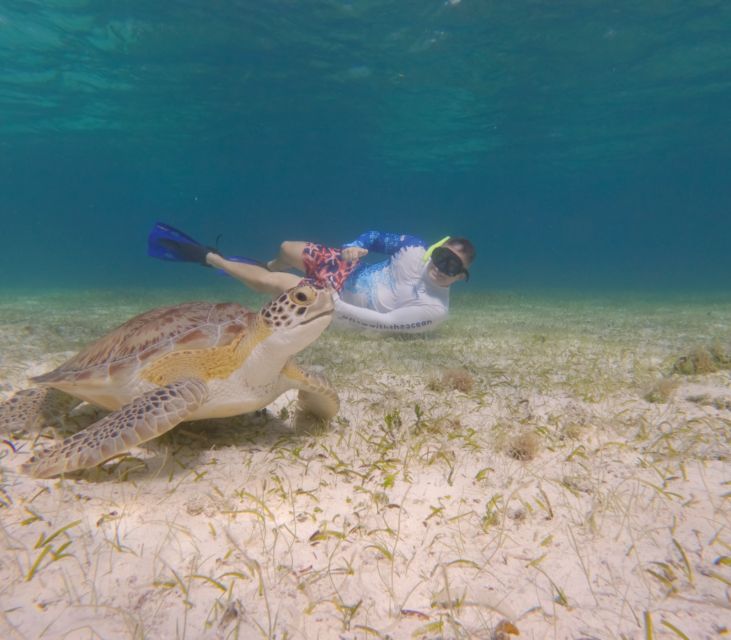 The Cozumel Turtle Sanctuary Snorkel Tour - Important Reminders