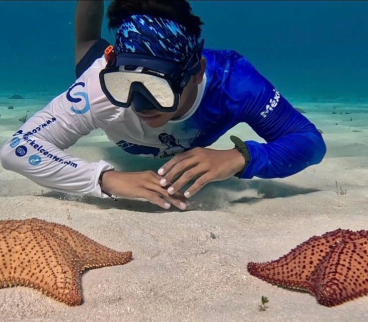 The Cozumel Turtle Sanctuary Snorkel Tour - Frequently Asked Questions