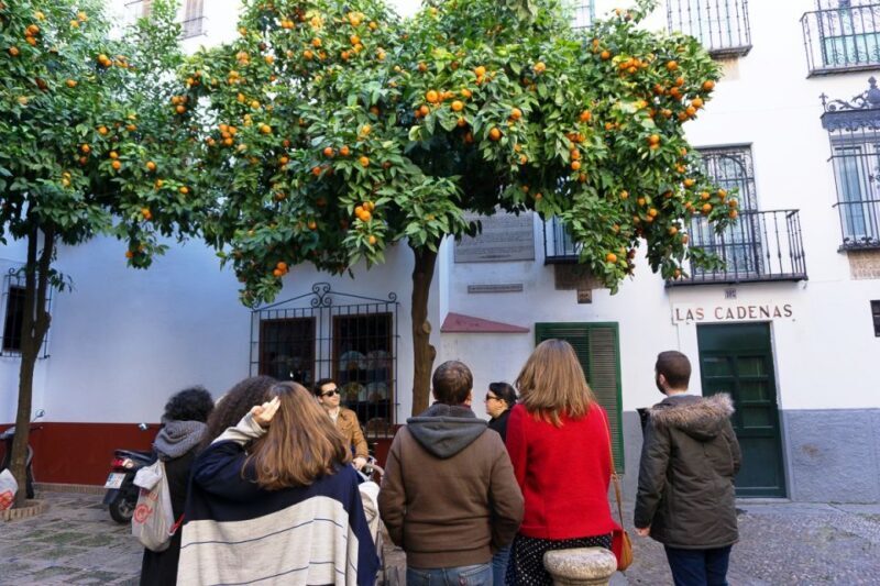 The Cultures of Seville Walking Tour - FAQs