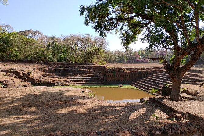 The Divar Island Exploration - Mangrove Boat Ride