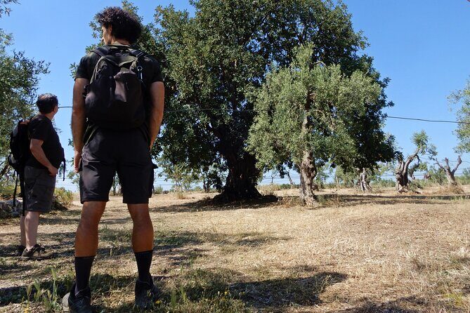 The Dolmen La Chianca and the Santa Croce Caves: Bisceglie Exploration - Who Should Consider This Tour?