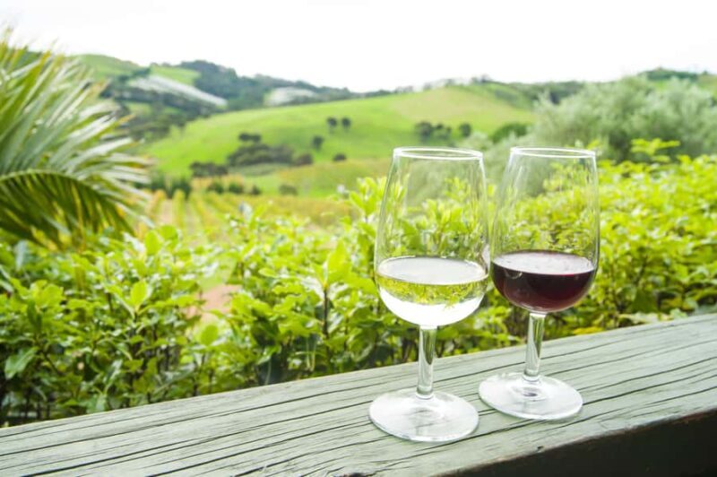 The Epic Waiheke Sundowner, Food And Wine Trip - A Tour Designed for a Special Waiheke Experience