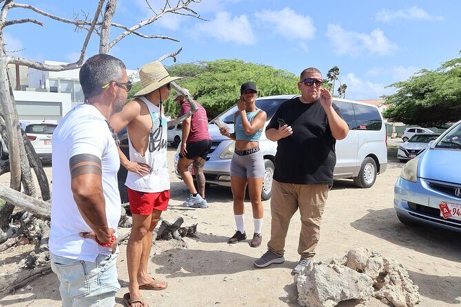 The Essential Island Highlights Tour - The Sum Up