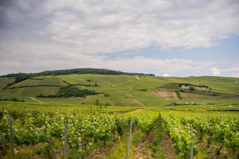 The Essential Tour From Epernay With Champagne Tasting - Customer Feedback