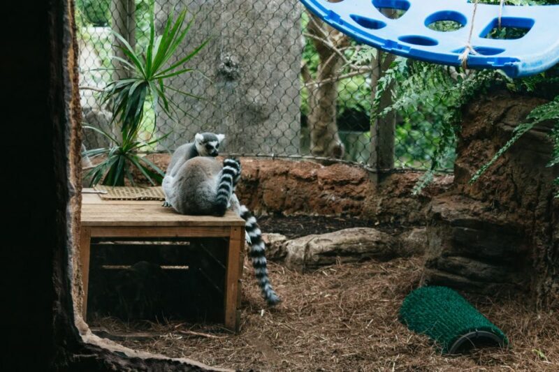 The Florida Aquarium Ticket - Frequently Asked Questions