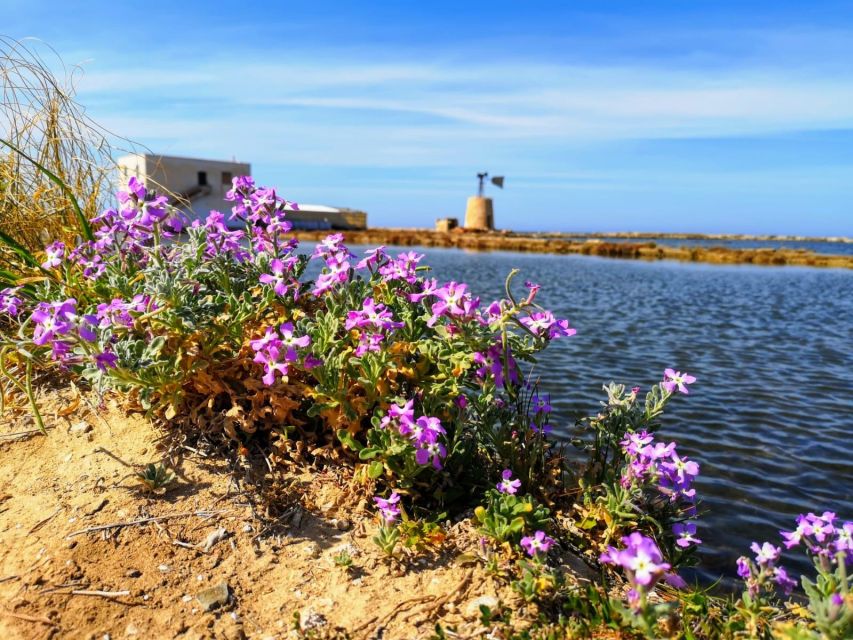 The Florio Family, Marsala and Trapani, Wine and Salt - Frequently Asked Questions