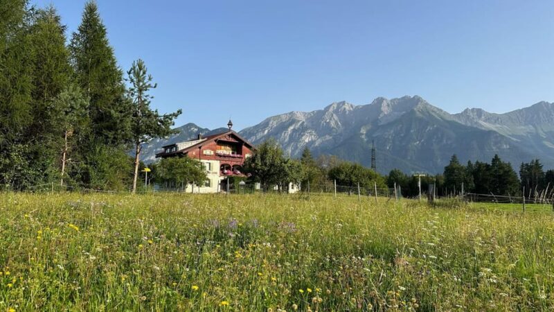 The forest as an Escape Room for the whole family - Key Points  