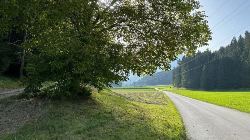 The Forest as an Escape Room for the Whole Family - Tour Duration and Details