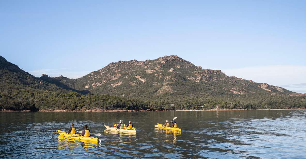 The Freycinet Paddle Kayak Tour - Experience Description